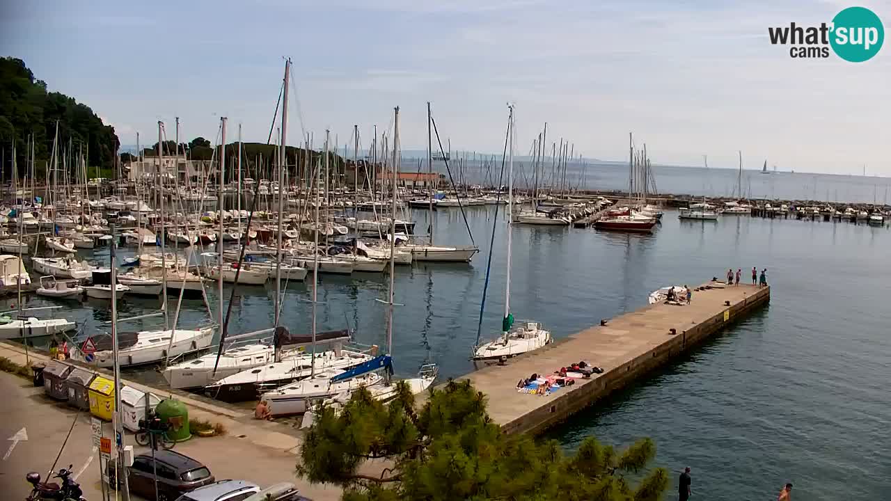 Webcam Sistiana – Pogled na marinu i zaljev