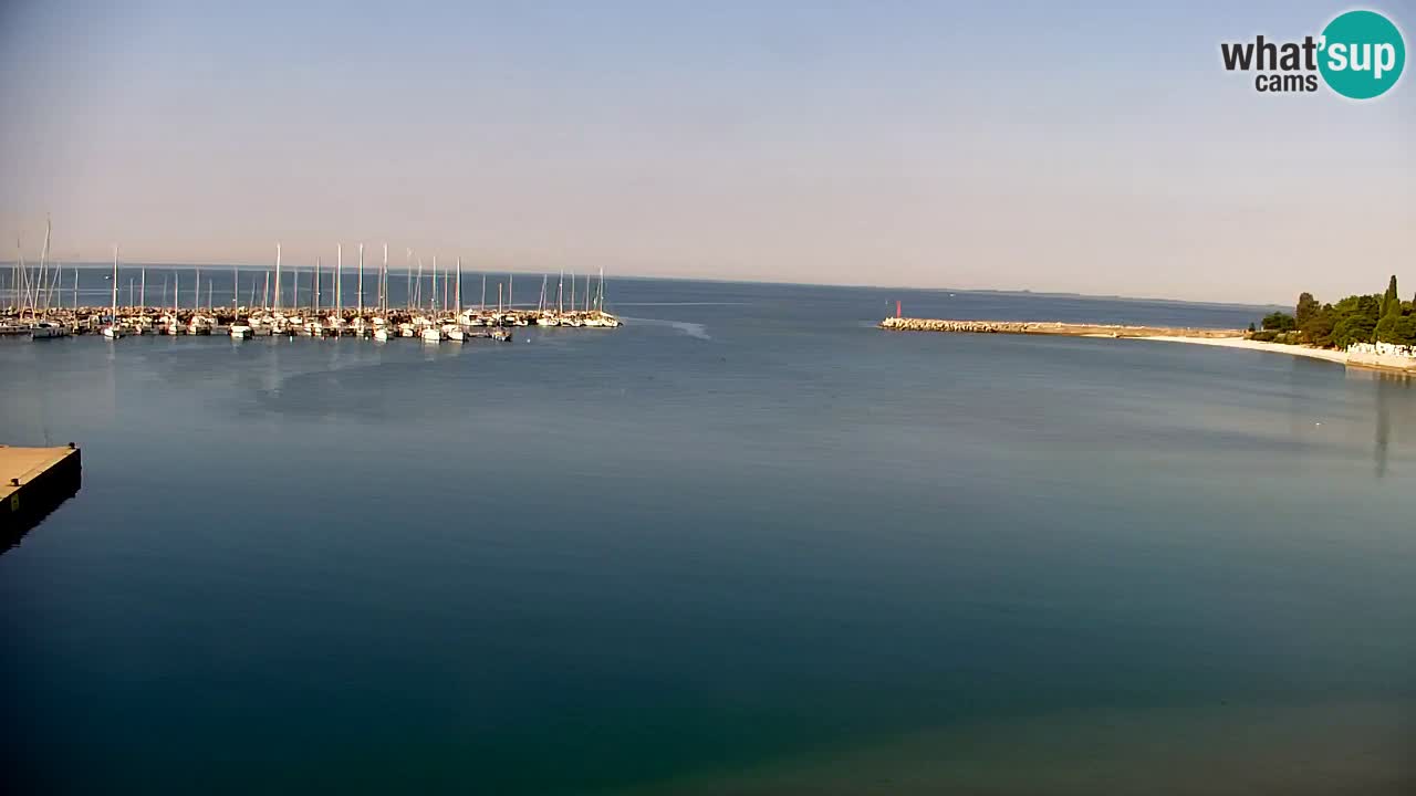 Spletna kamera Sesljan (Sistiana) – Pogled na marino in zaliv