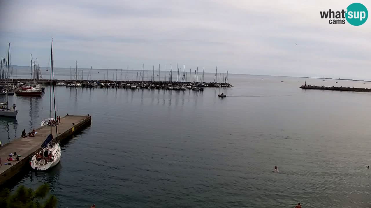 Webcam Sistiana – Vue sur la marina et la baie