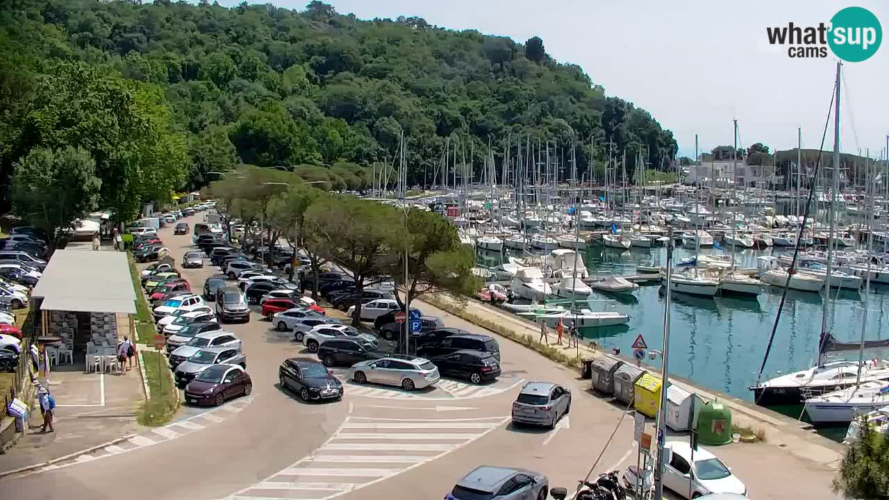 Spletna kamera Sesljan (Sistiana) – Pogled na marino in zaliv