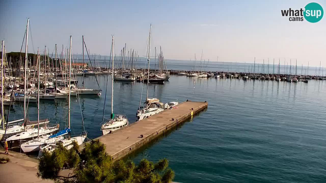 Webcam Sistiana – Pogled na marinu i zaljev