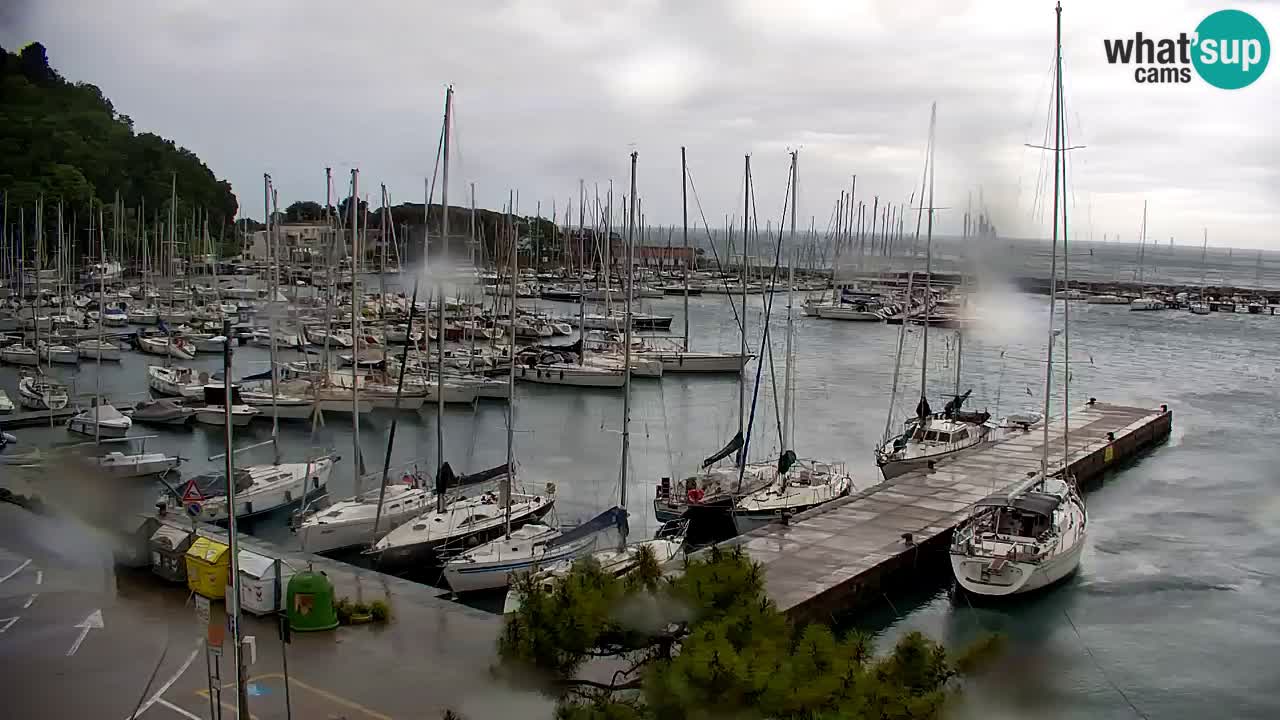 Webcam Sistiana – Pogled na marinu i zaljev