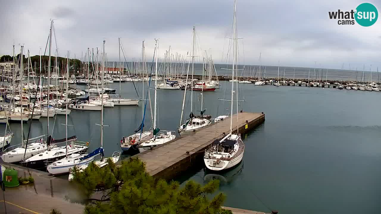 Webcam Sistiana – Vista sobre la marina y la bahía
