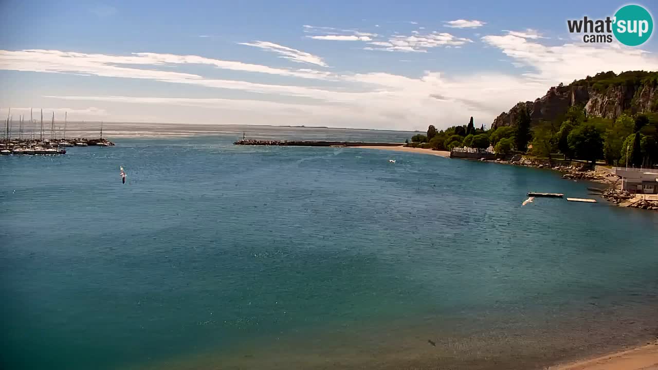 Webcam Sistiana – Pogled na marinu i zaljev