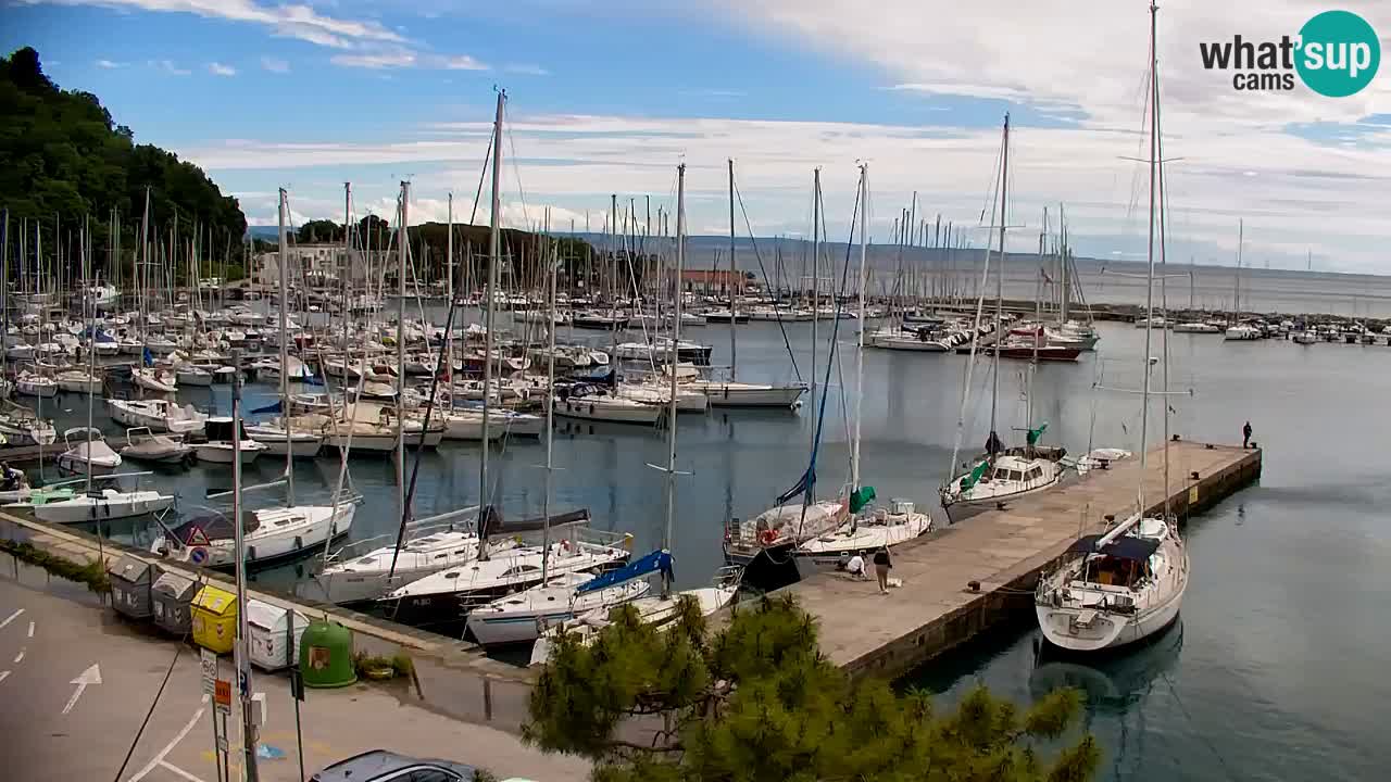 Spletna kamera Sesljan (Sistiana) – Pogled na marino in zaliv