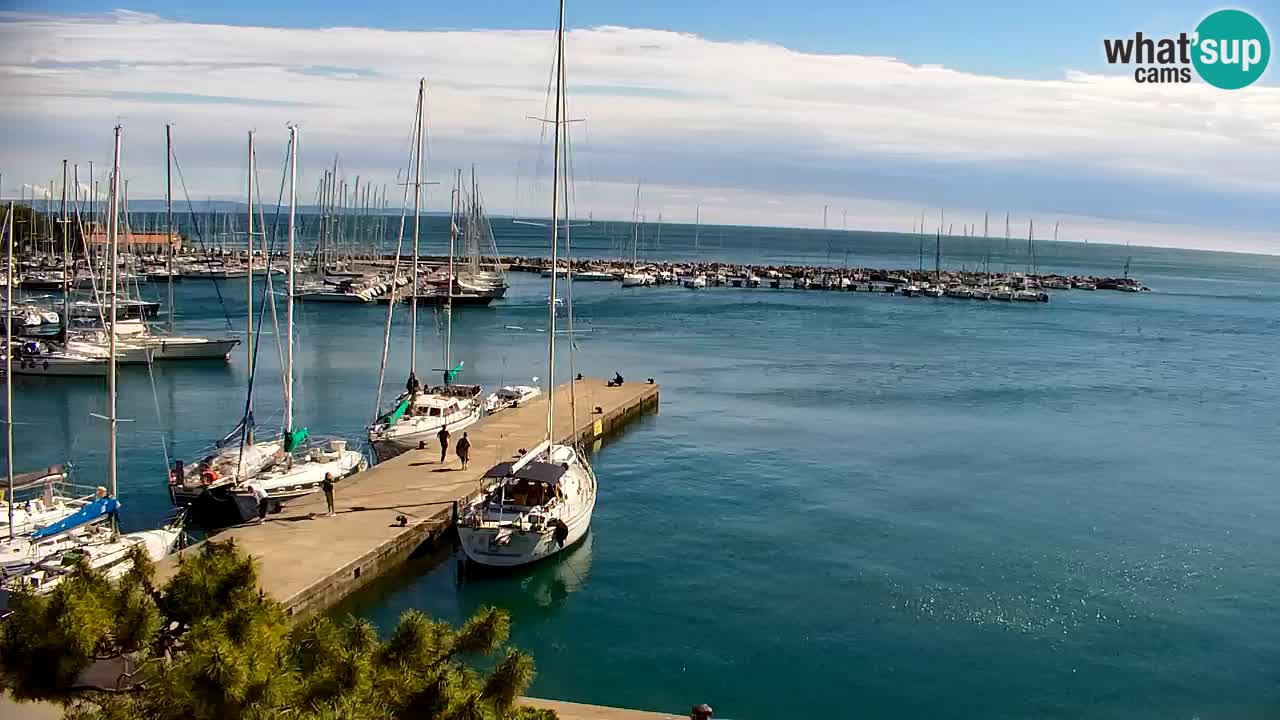 Webcam Sistiana – Marina and Bay Live View