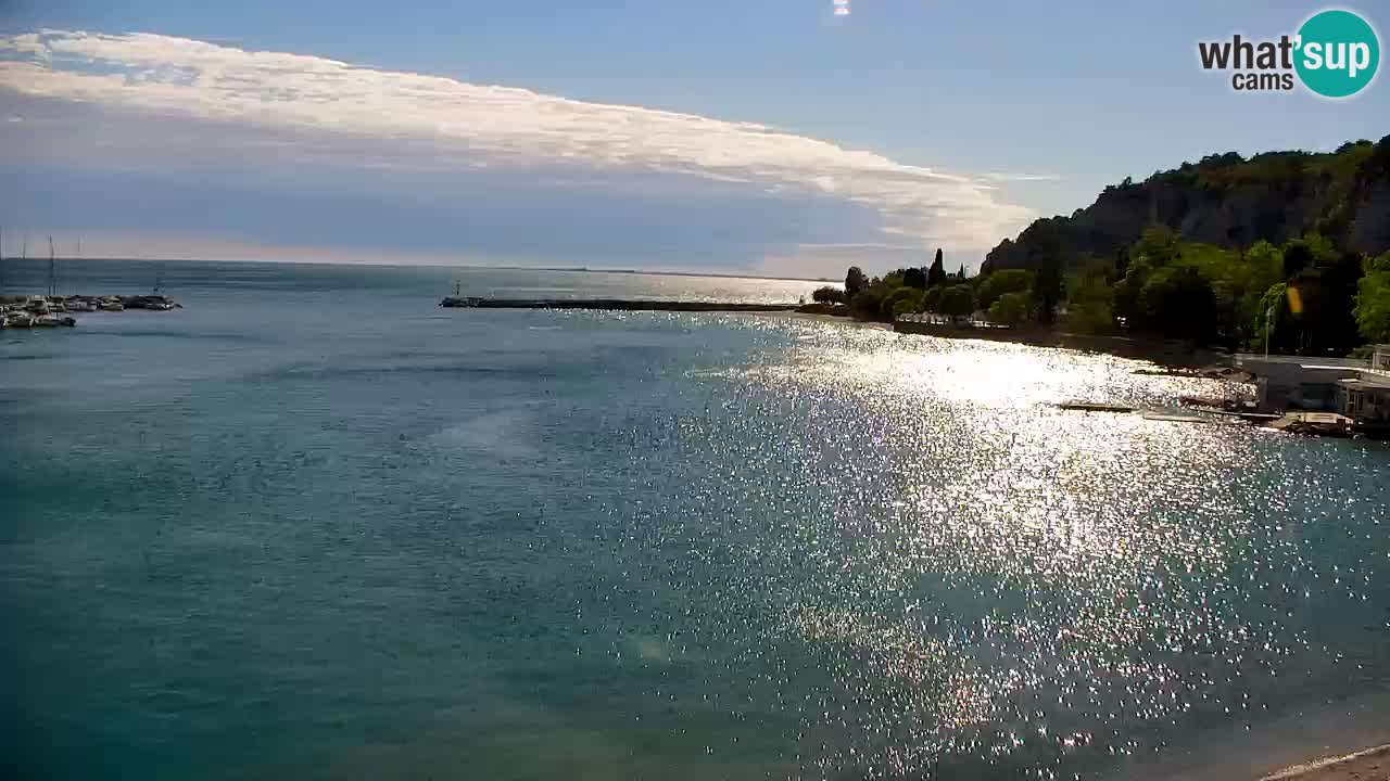 Webcam Sistiana – Marina and Bay Live View