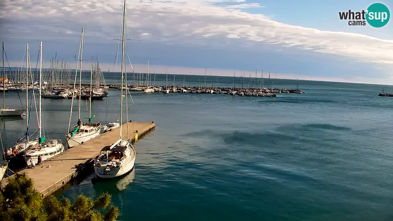 Webcam Sistiana – Vista sobre la marina y la bahía