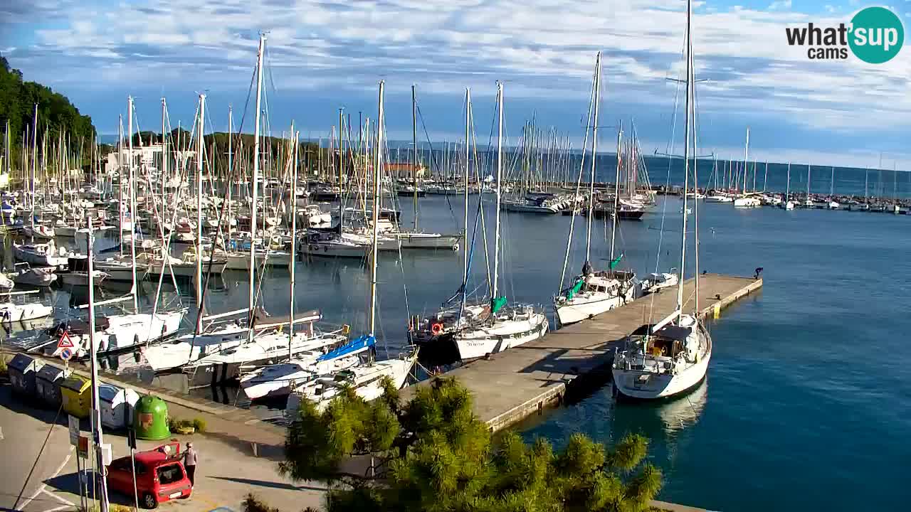 Webcam Sistiana – Marina and Bay Live View