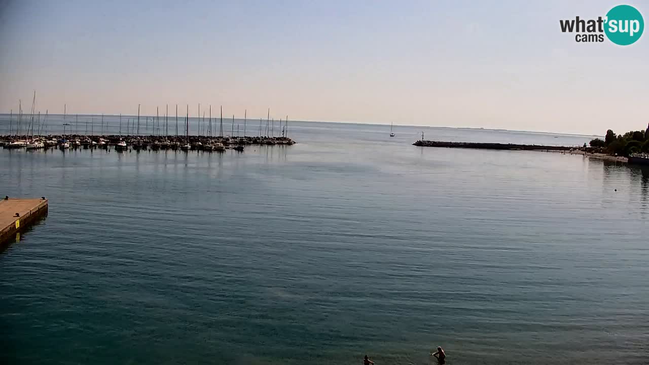 Spletna kamera Sesljan (Sistiana) – Pogled na marino in zaliv