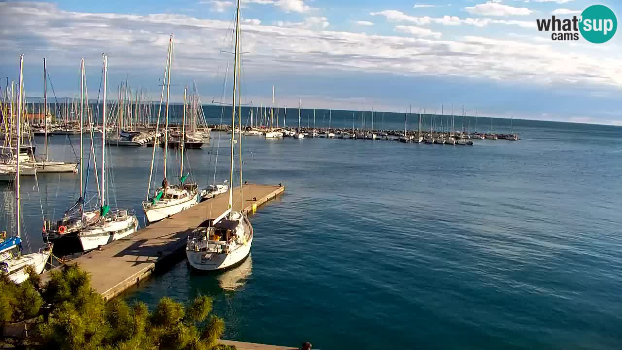 Spletna kamera Sesljan (Sistiana) – Pogled na marino in zaliv