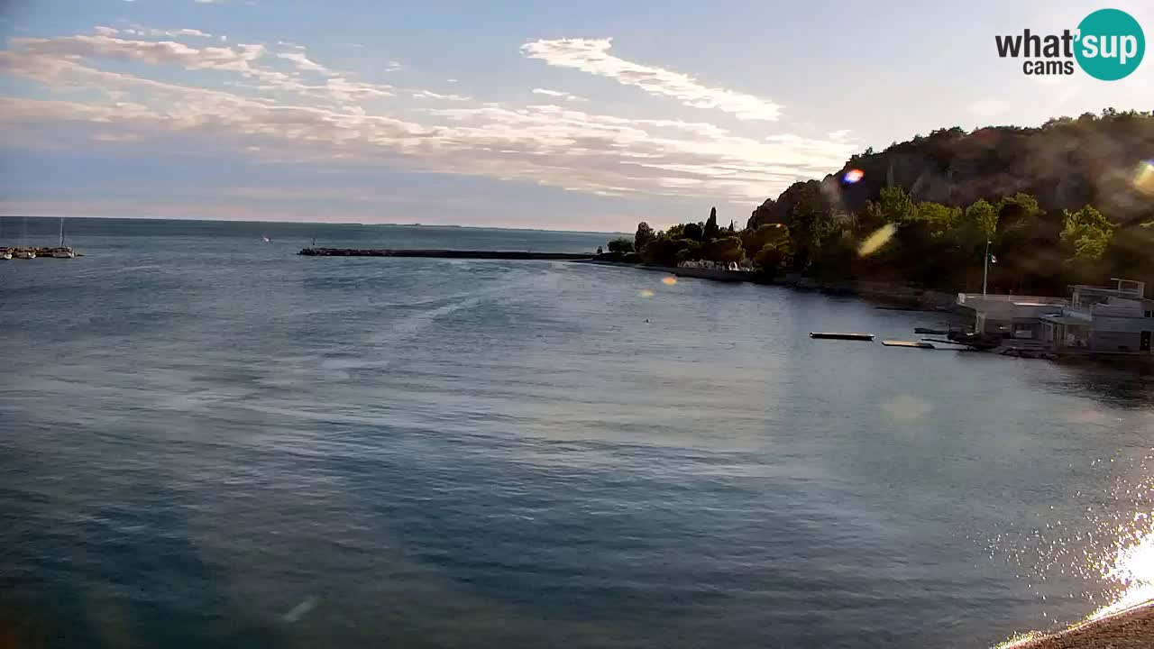 Webcam Sistiana – Marina and Bay Live View