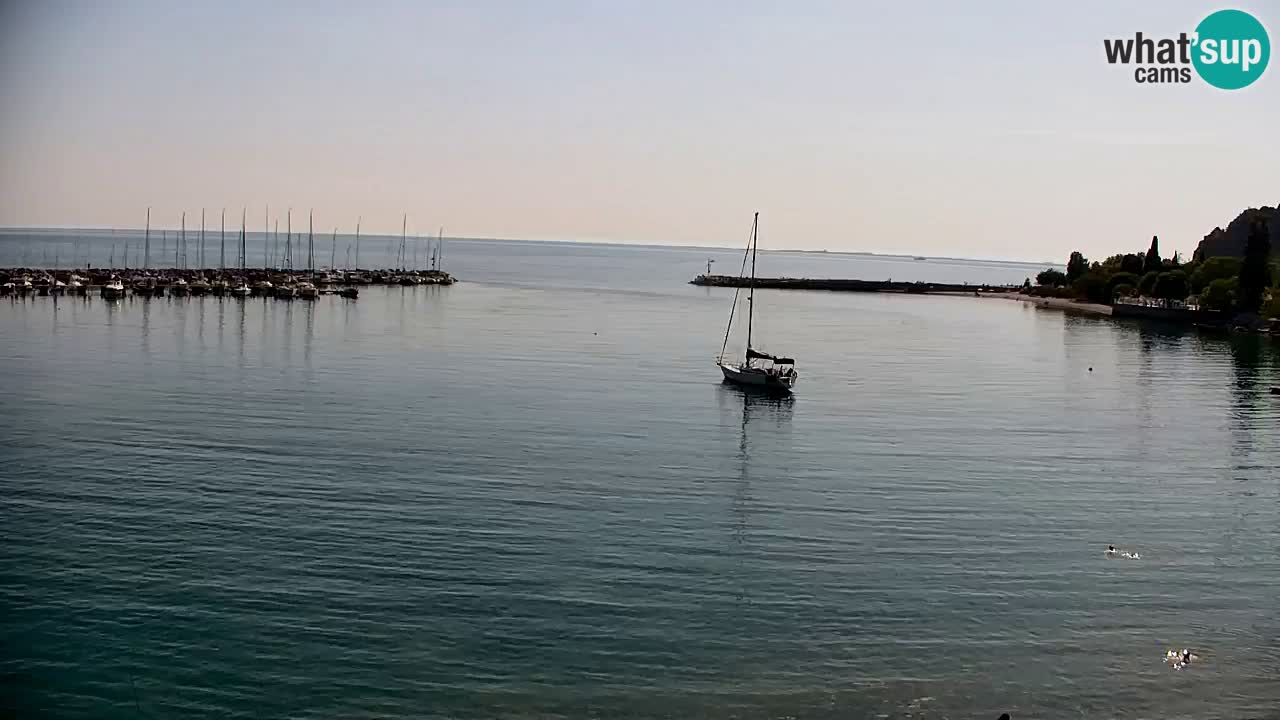 Webcam Sistiana – Pogled na marinu i zaljev