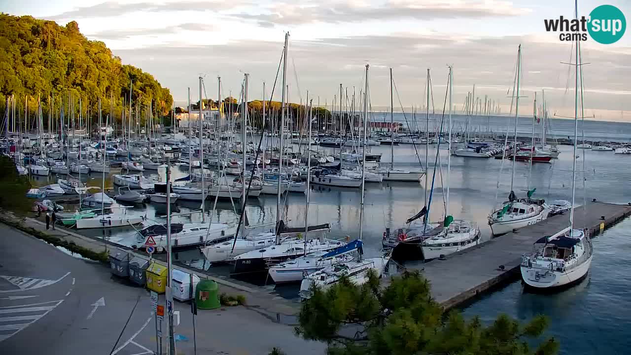Webcam Sistiana – Marina and Bay Live View