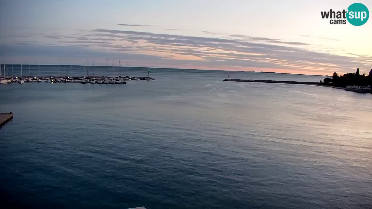 Webcam Sistiana – Pogled na marinu i zaljev