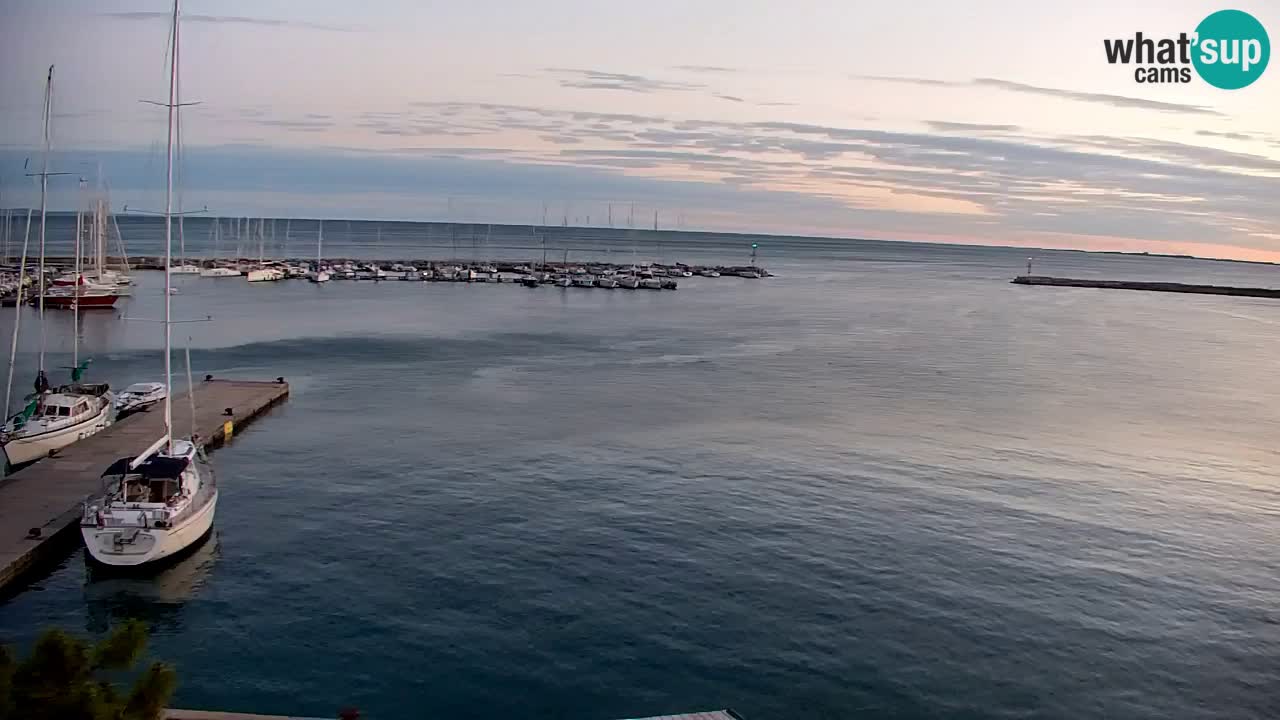Webcam Sistiana – Marina and Bay Live View
