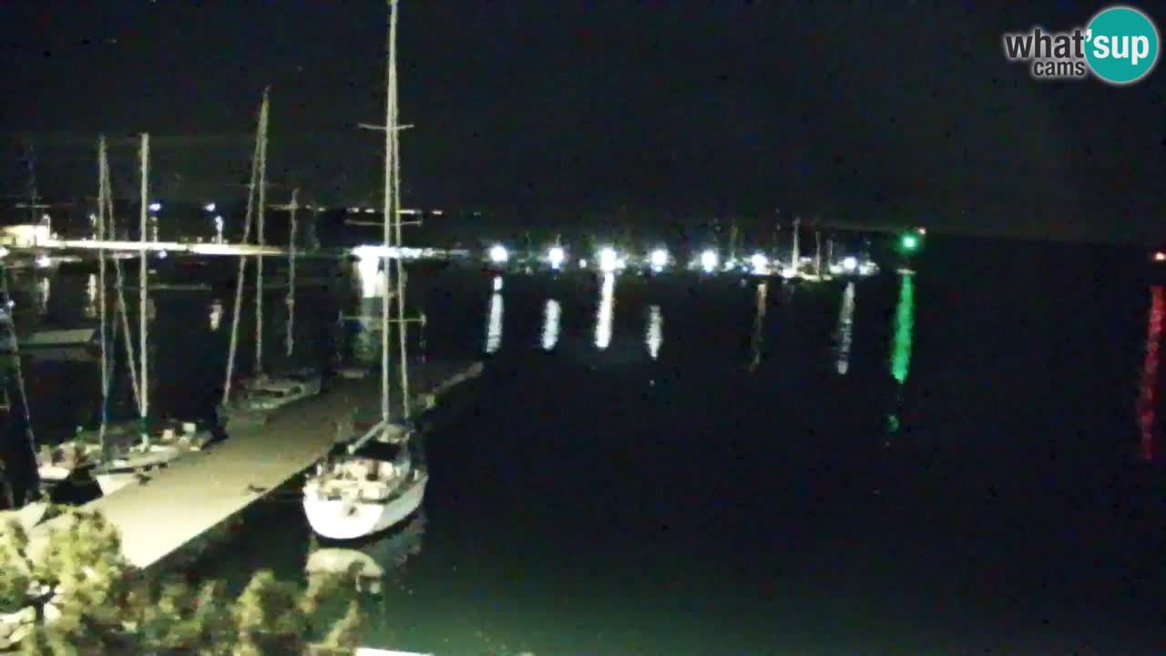 Webcam Sistiana – Pogled na marinu i zaljev