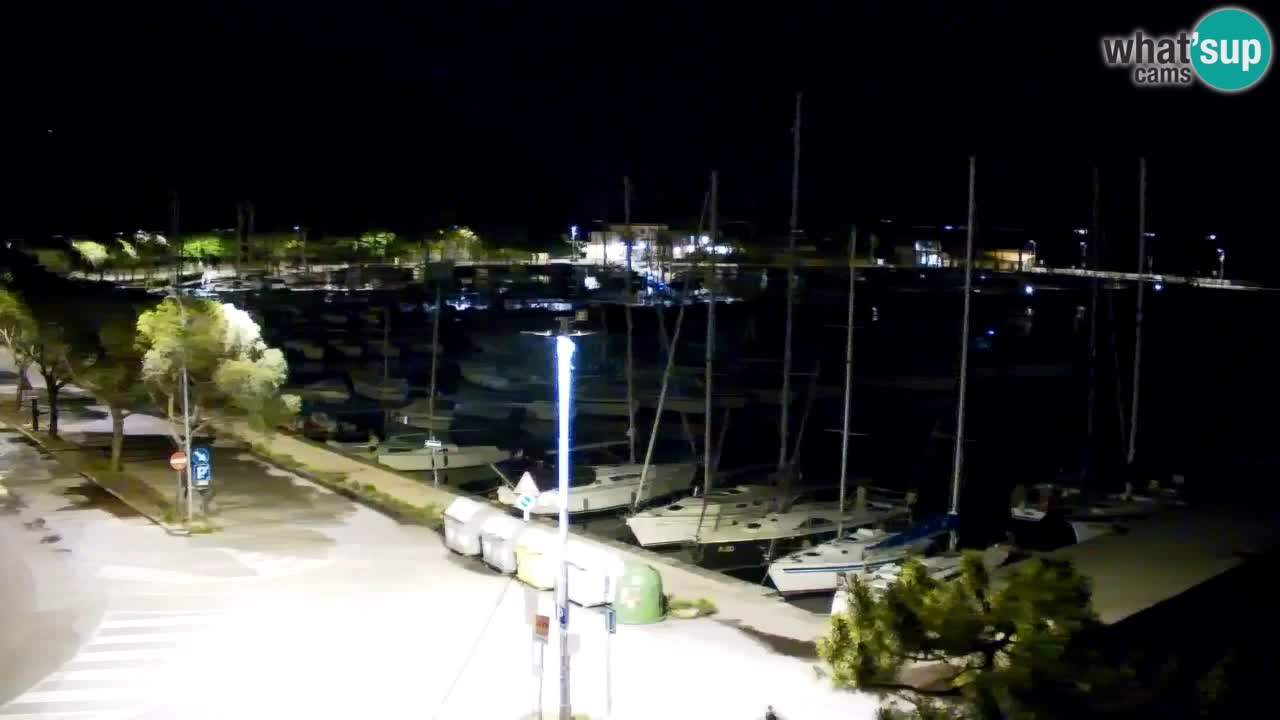 Webcam Sistiana – Pogled na marinu i zaljev