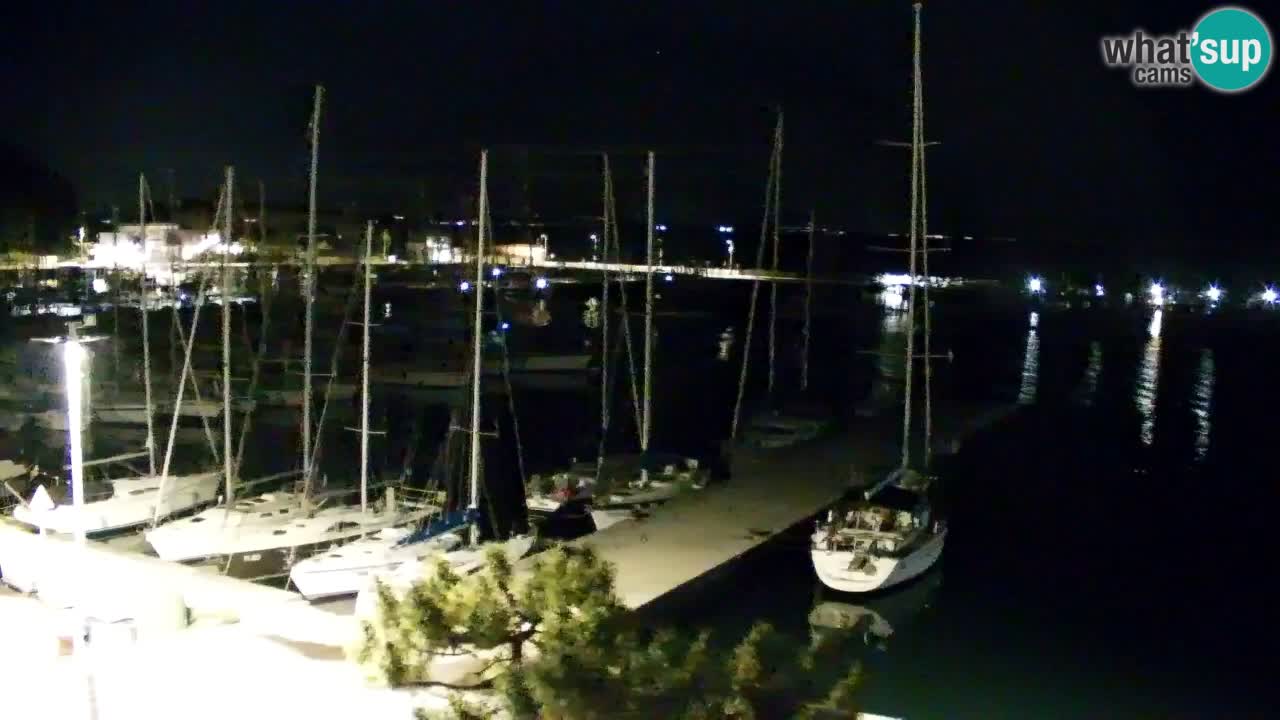 Webcam Sistiana – Pogled na marinu i zaljev