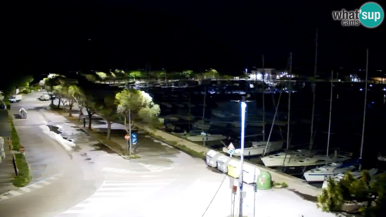 Spletna kamera Sesljan (Sistiana) – Pogled na marino in zaliv