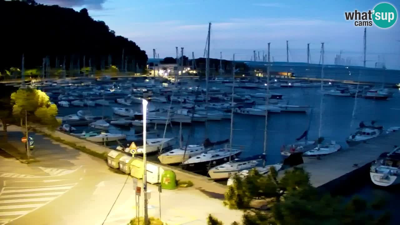 Webcam Sistiana – Marina and Bay Live View