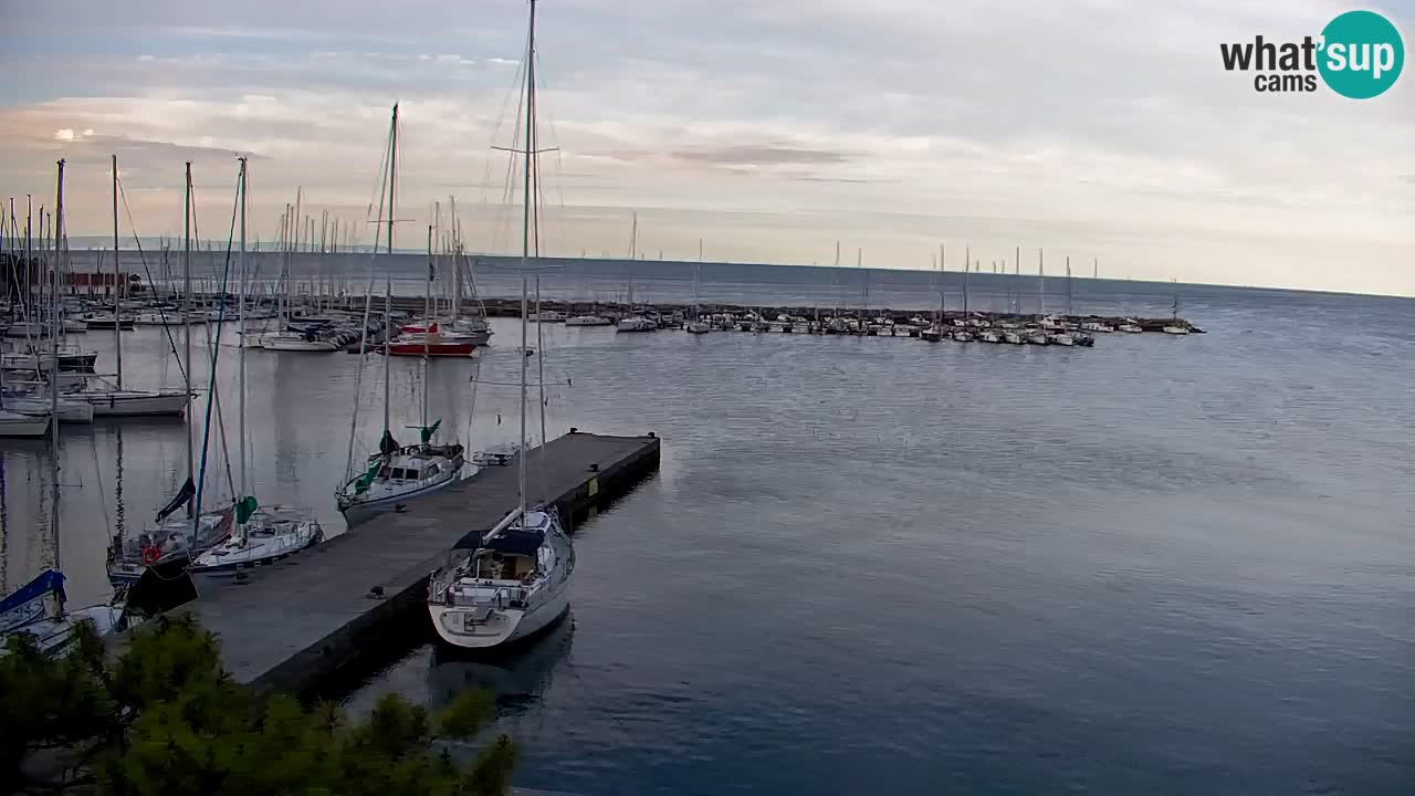 Webcam Sistiana – Marina and Bay Live View
