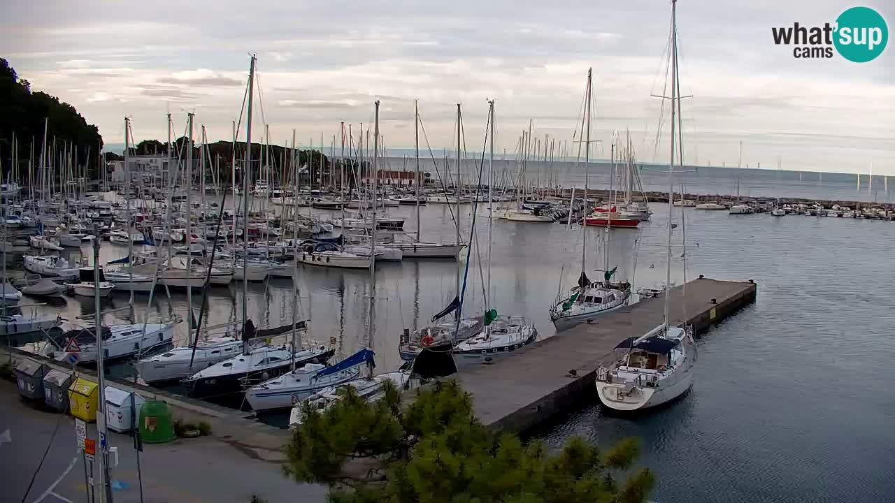 Webcam Sistiana – Vista sulla marina e sulla baia