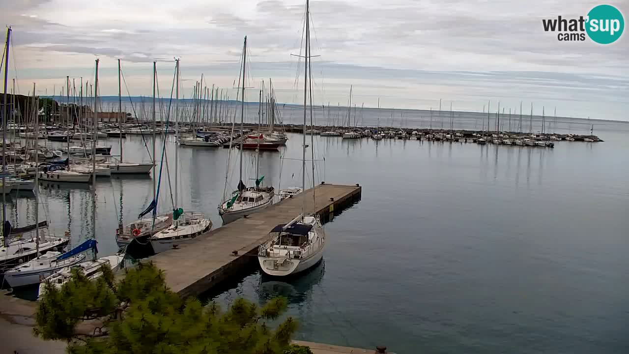Webcam Sistiana – Vista sobre la marina y la bahía