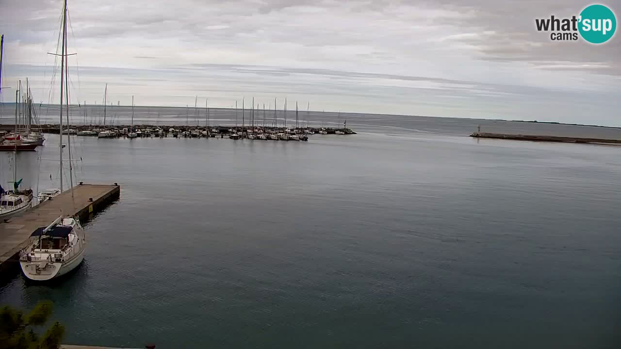 Webcam Sistiana – Marina and Bay Live View