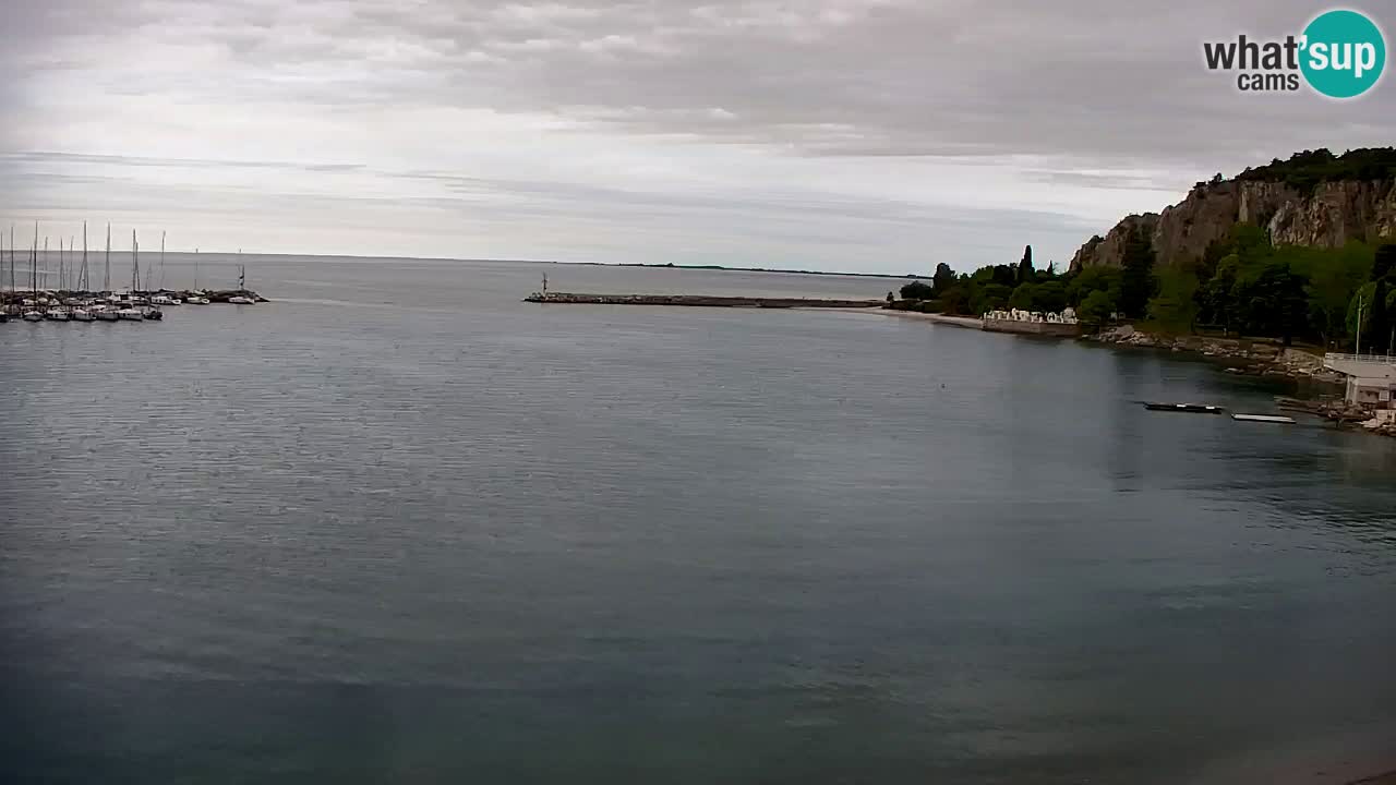 Webcam Sistiana – Vista sobre la marina y la bahía