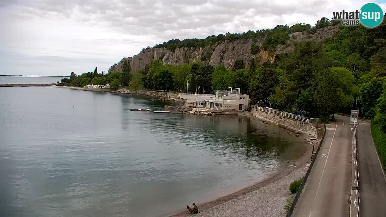 Webcam Sistiana – Blick auf Marina und Bucht