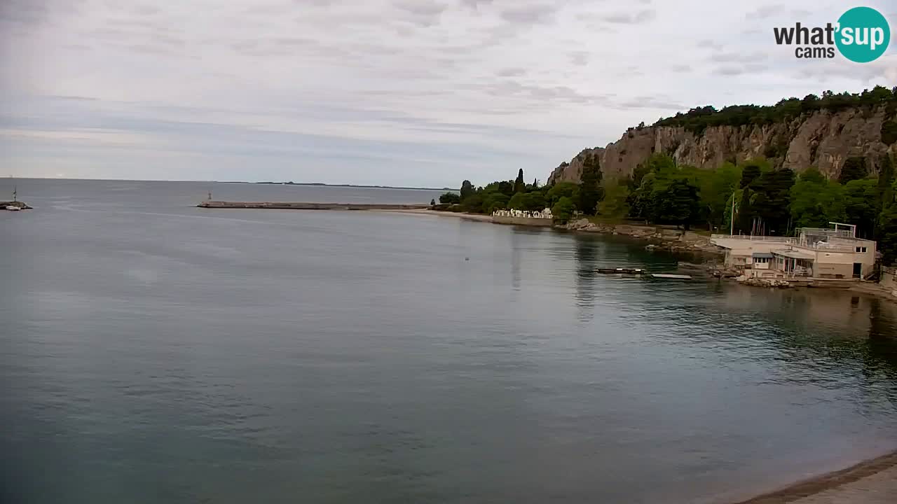 Webcam Sistiana – Marina and Bay Live View