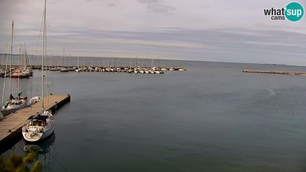 Webcam Sistiana – Vista sobre la marina y la bahía
