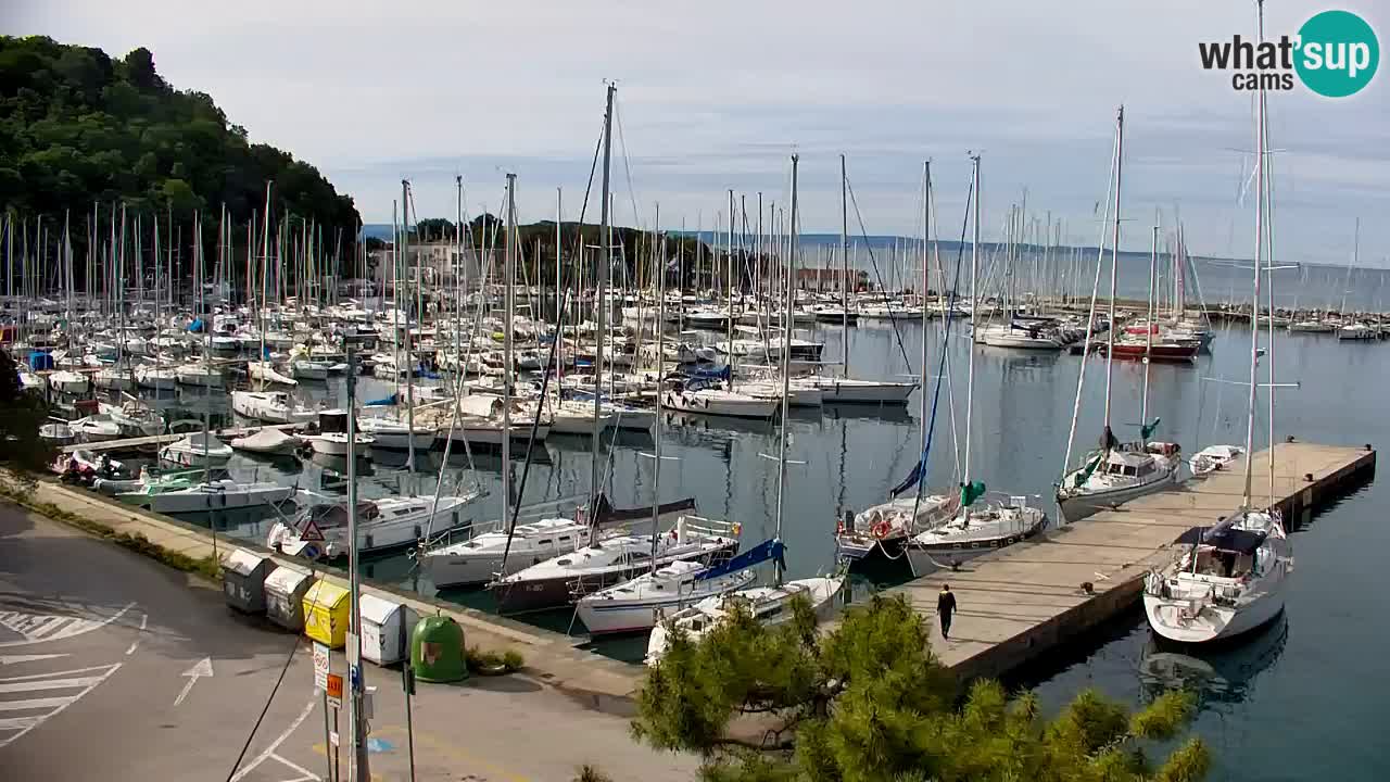 Webcam Sistiana – Marina and Bay Live View