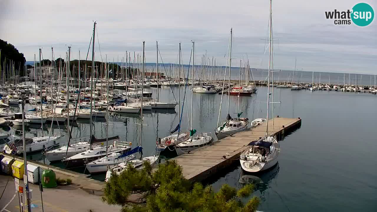 Webcam Sistiana – Vista sobre la marina y la bahía