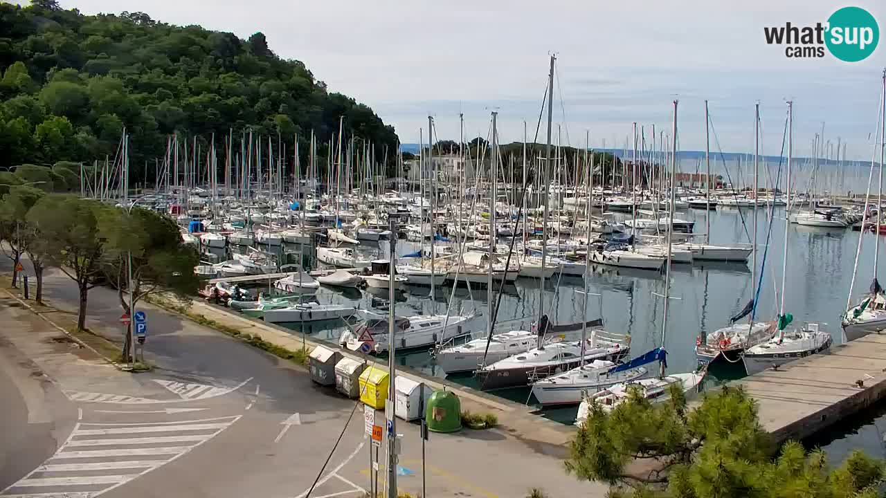 Webcam Sistiana – Marina and Bay Live View