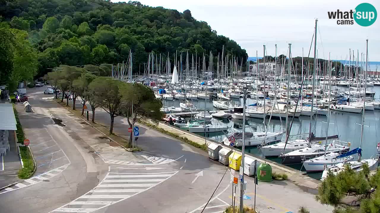 Webcam Sistiana – Marina and Bay Live View