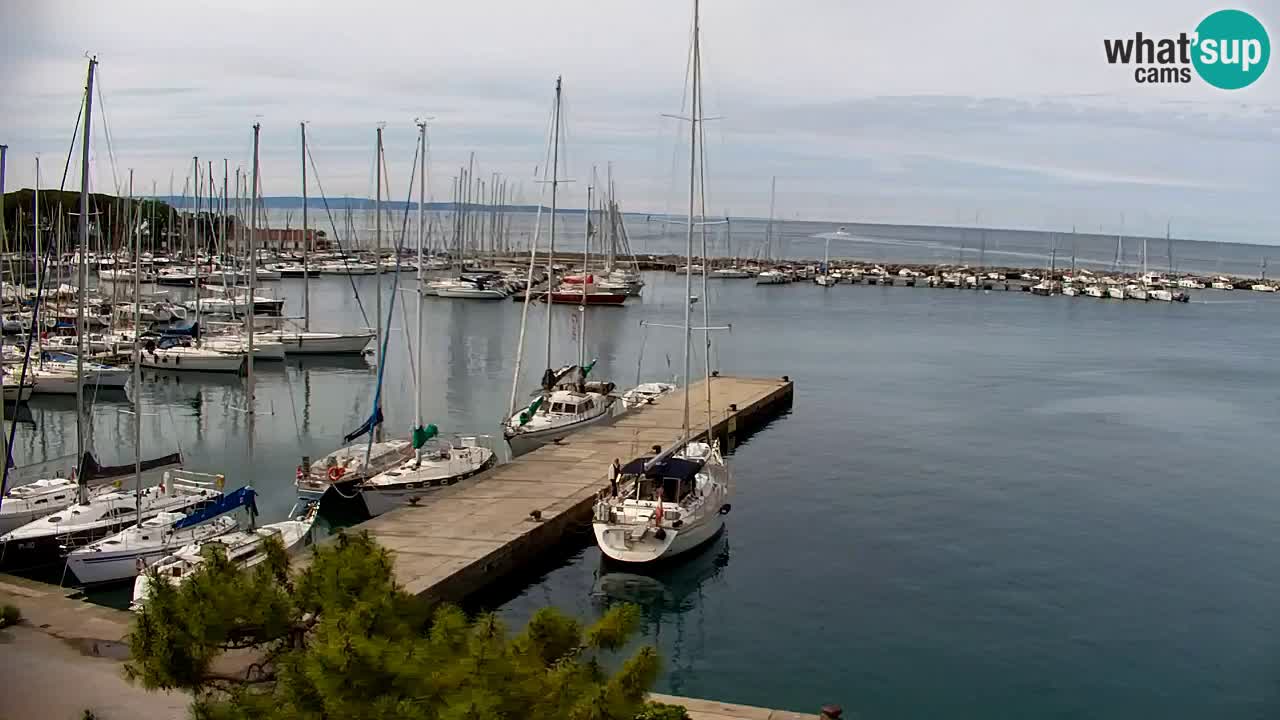 Webcam Sistiana – Vista sobre la marina y la bahía