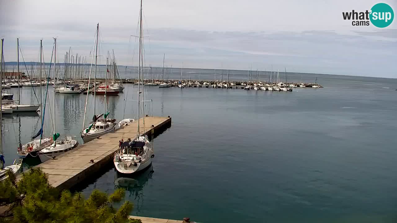 Webcam Sistiana – Vista sulla marina e sulla baia