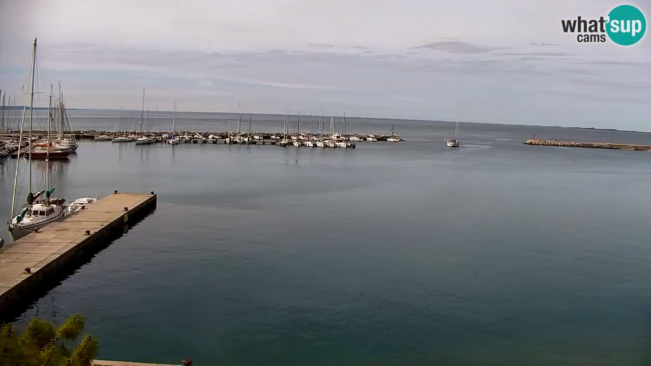 Webcam Sistiana – Vista sulla marina e sulla baia