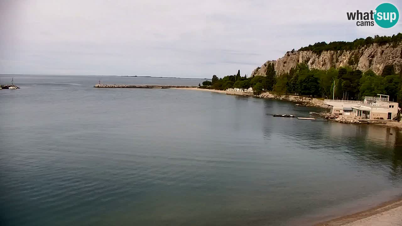 Webcam Sistiana – Marina and Bay Live View