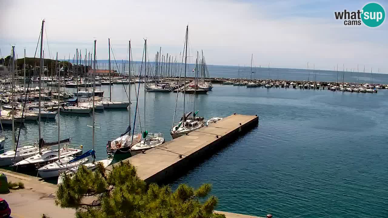 Webcam Sistiana – Marina and Bay Live View