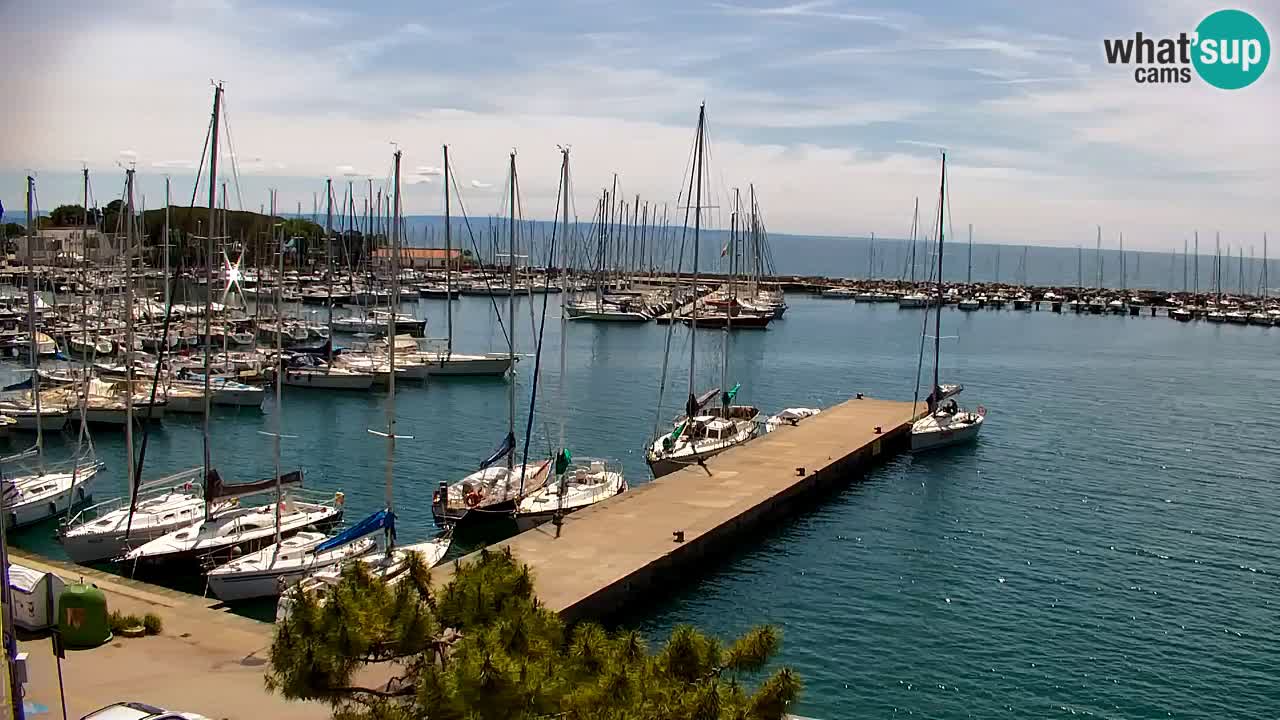 Webcam Sistiana – Marina and Bay Live View