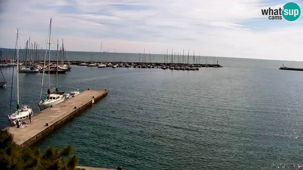 Spletna kamera Sesljan (Sistiana) – Pogled na marino in zaliv