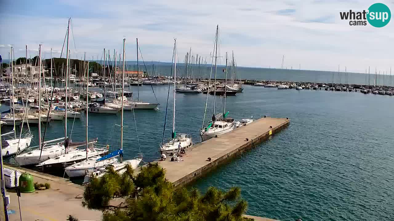 Webcam Sistiana – Marina and Bay Live View