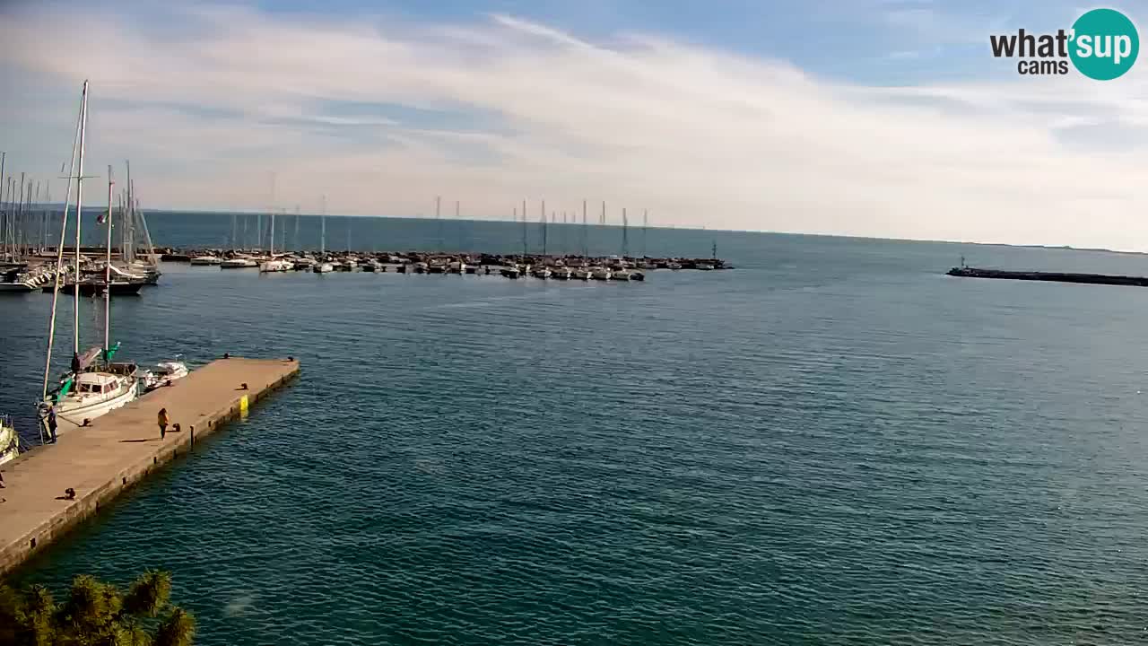 Webcam Sistiana – Marina and Bay Live View