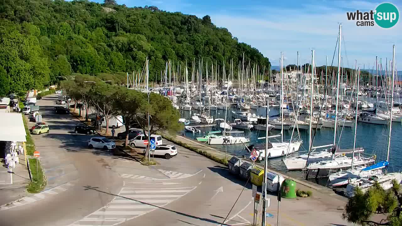 Webcam Sistiana – Marina and Bay Live View