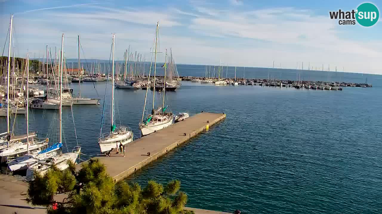 Webcam Sistiana – Marina and Bay Live View