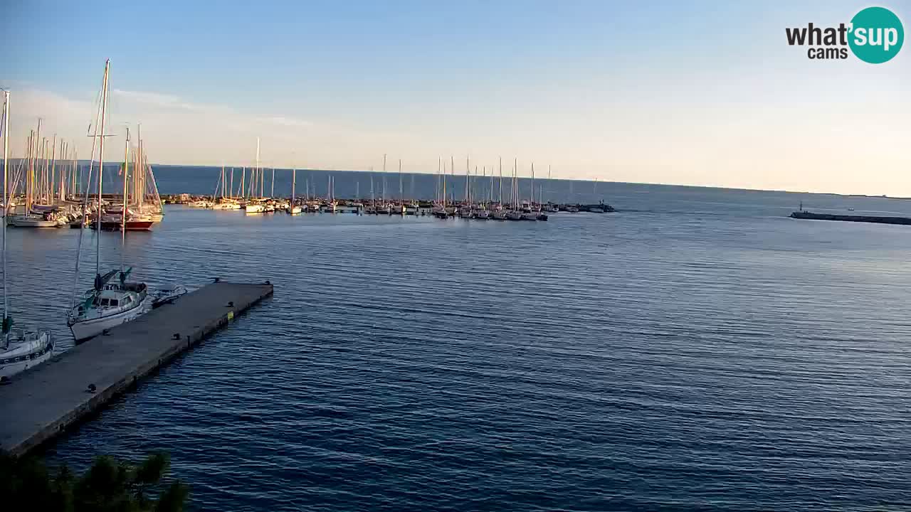 Webcam Sistiana – Pogled na marinu i zaljev