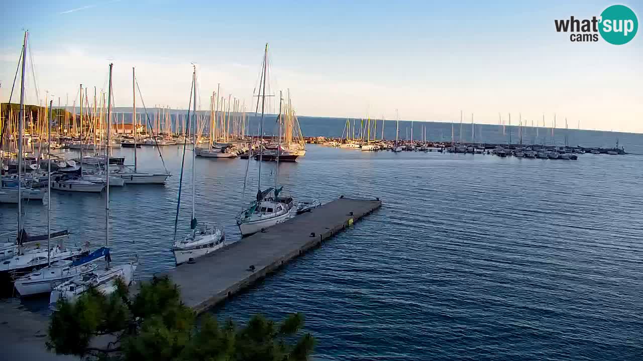 Webcam Sistiana – Pogled na marinu i zaljev